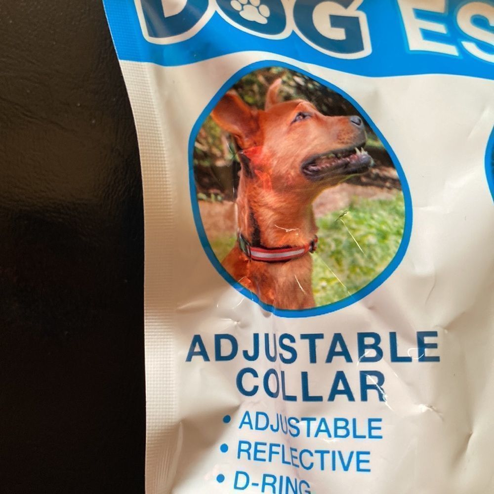Dog Essentials 4 PC Set - Picture 3 of 7